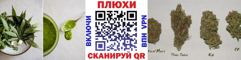 Canna-Cookies конопля  Новочебоксарск 