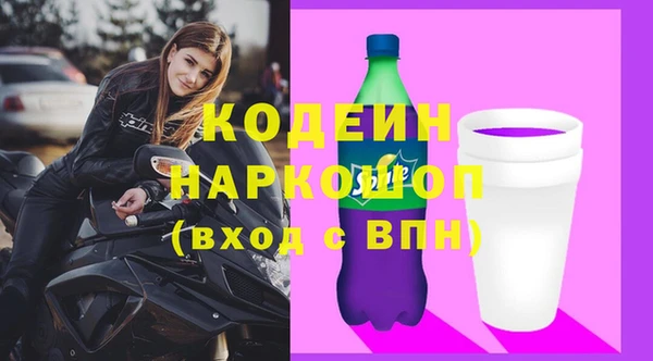 индика Володарск