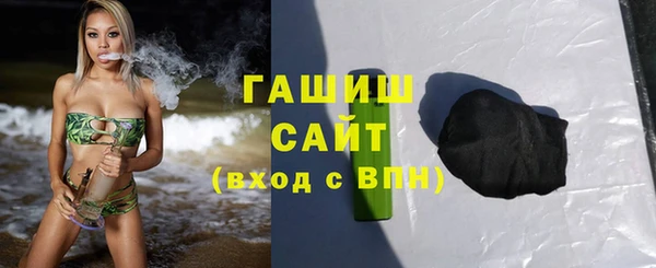 индика Володарск