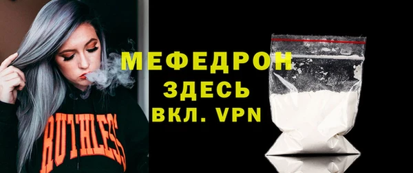 индика Володарск