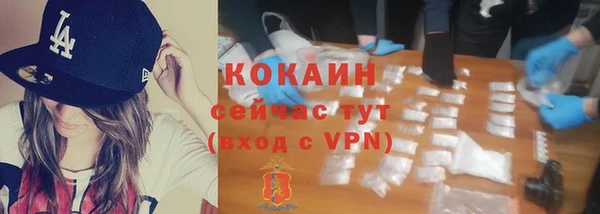 индика Володарск