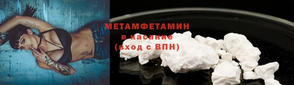 индика Володарск