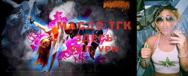 индика Володарск