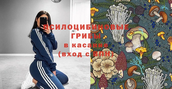 индика Володарск