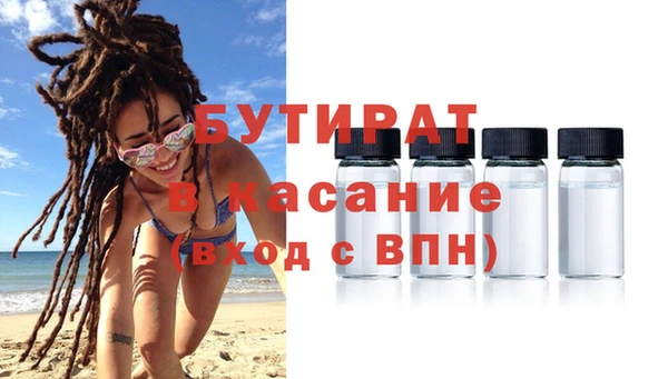 индика Володарск