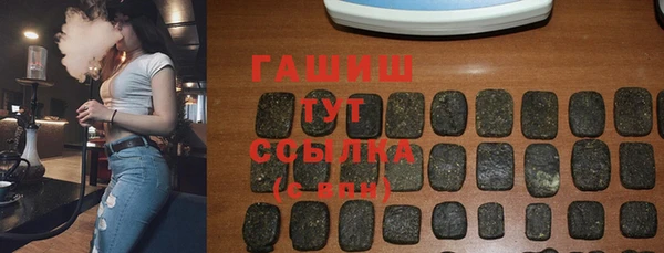 индика Володарск