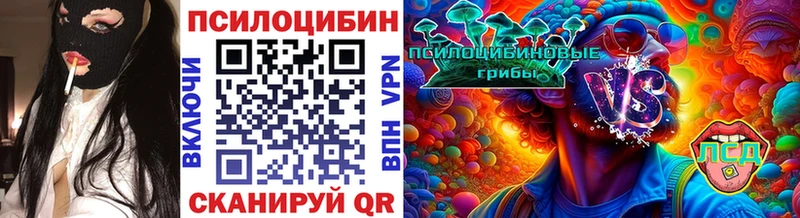 мега   Новочебоксарск  Галлюциногенные грибы Psilocybe 